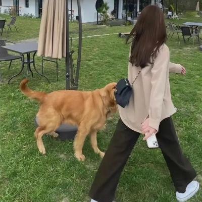白痴之日